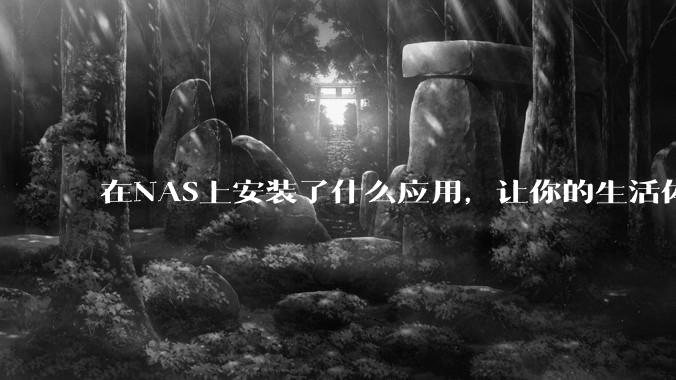 在NAS上安装了什么应用，让你的生活体验有了巨大的提升？