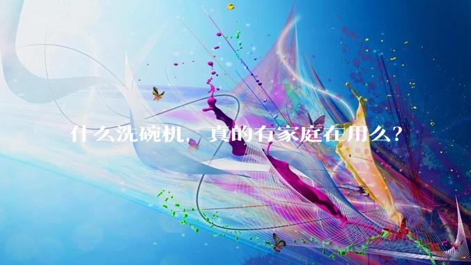 什么洗碗机，真的有家庭在用么？